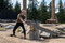 Grouse Mountain ist echt touristisch als Eventberg genutzt. Biketrails, Wandern, ZipLines, Sessellifte, eine Sommerrodelbahn und im Winter Skifahren ... 