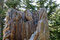 Holz ist in Kanada in jeder Form stehr wichtig und wird vielfältig genutzt.
