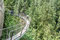 Das ganze Gebiet ist eine Touristen"Hochburg" ... mit Cliffwalk