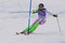 SuperC - Teil Slalom: Lizz Görgl (A) - Platz 2