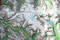 Das Icefield besteht aus eine ganzen Gletscherlandschaft.