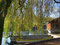 Seehausen am Staffelsee