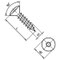 Spanplattenschraube 4x40 vernickelt, Linsensenkkopf, Torx