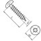 Spanplattenschraube 6x50 verzinkt, Pan-Head (Rundkopf), Torx