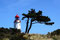 Leuchtturm Dornbusch / Insel Hiddensee 2