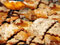 Chiacchiere