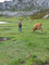 Picos de Europa.Asturias