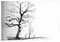 © Schidlo, 2020; Baumsilhouette; Graphitstift
