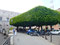Bild: Taormina