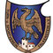 TSV Falkenstein