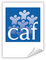 DTR - Déclaration trimestrielle de Ressources CAF (version papier)