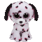 Georgia the Dalmatian