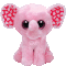 Sugar the Elephant