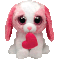 Cookie the Dog