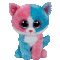 Fiona the Cat