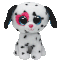 Chloe the Dalmatian