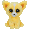 Dandelion the Chihuahua (Shows & Selected Stores) 
