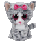 Willow the Cat
