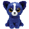 T-Bone the Chihuahua (Shows & Selected Stores) 