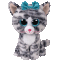 Quin the Cat