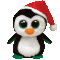 Igloo the Penguin 