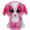 Sherbet the Dog