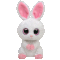 Carrots the Bunny