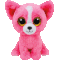 Pashun the Chihuahua (Shows & Selected Stores) 