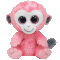 Sherbet the Monkey