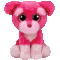 Cherry the Schnauzer