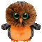 Midnight the Owl