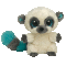 Cleo the BushBaby