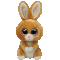 Carrots the Bunny