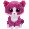 Charlotte the Cat