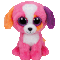 Austin the Dog