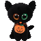 Shadow the Cat