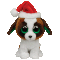 Presents the Dog