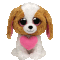 Cookie the Dog