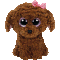Maddie the Dog