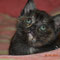 42-2012 Sally