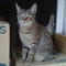 135-2012 Rony