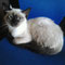 94-2012 Nina (Hagen)