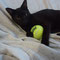 06-2012 Roy (Leroy)
