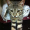 115-2012 Bugy (Marga)