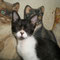 84-2011 Betty