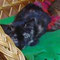 128-2012 Vicky