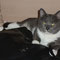 05-2011 Gisi