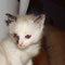 25-2011 Max