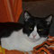 16-2012 Lali
