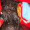 73-2011 Simba